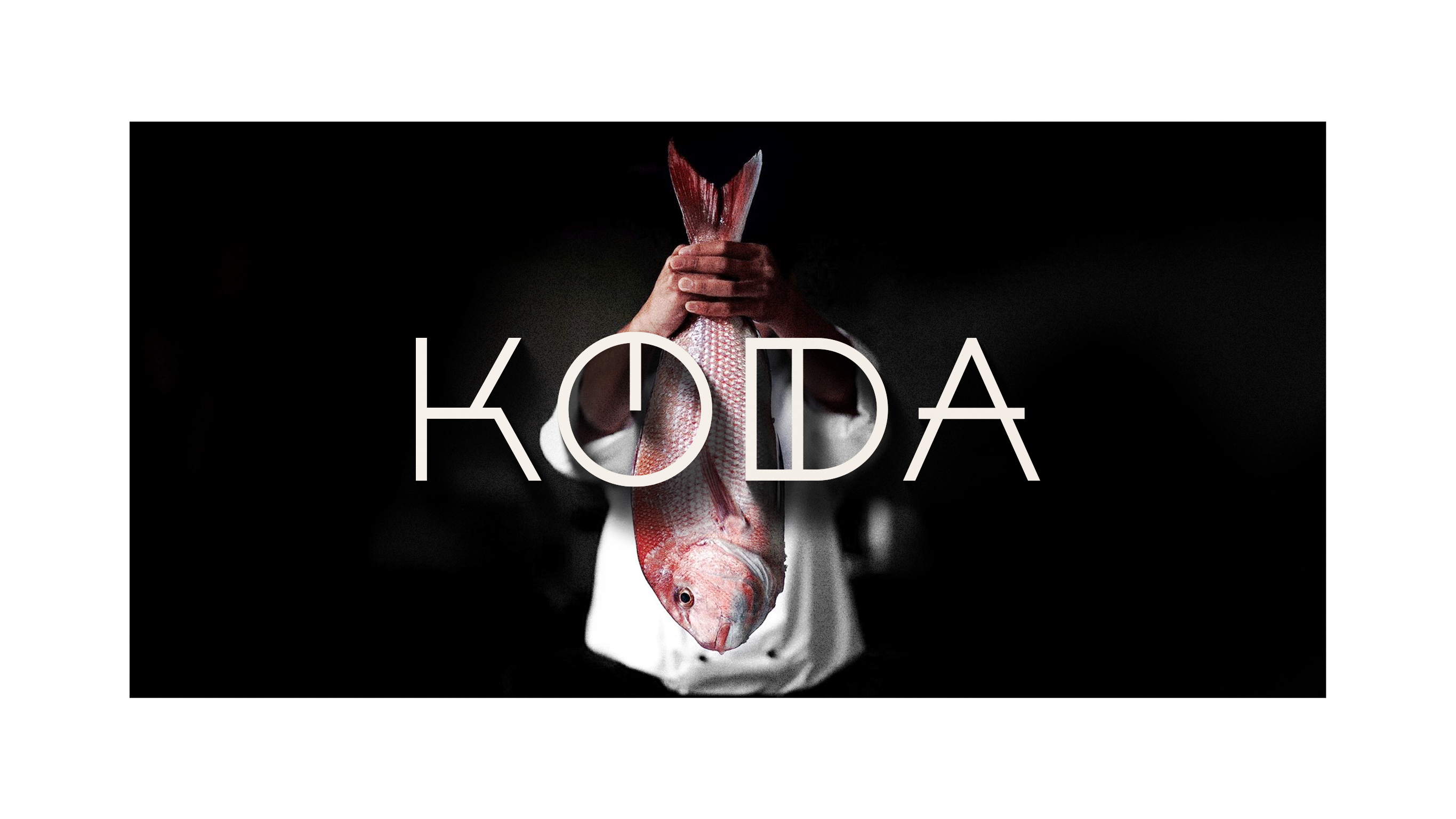 KODA - imagem 3
