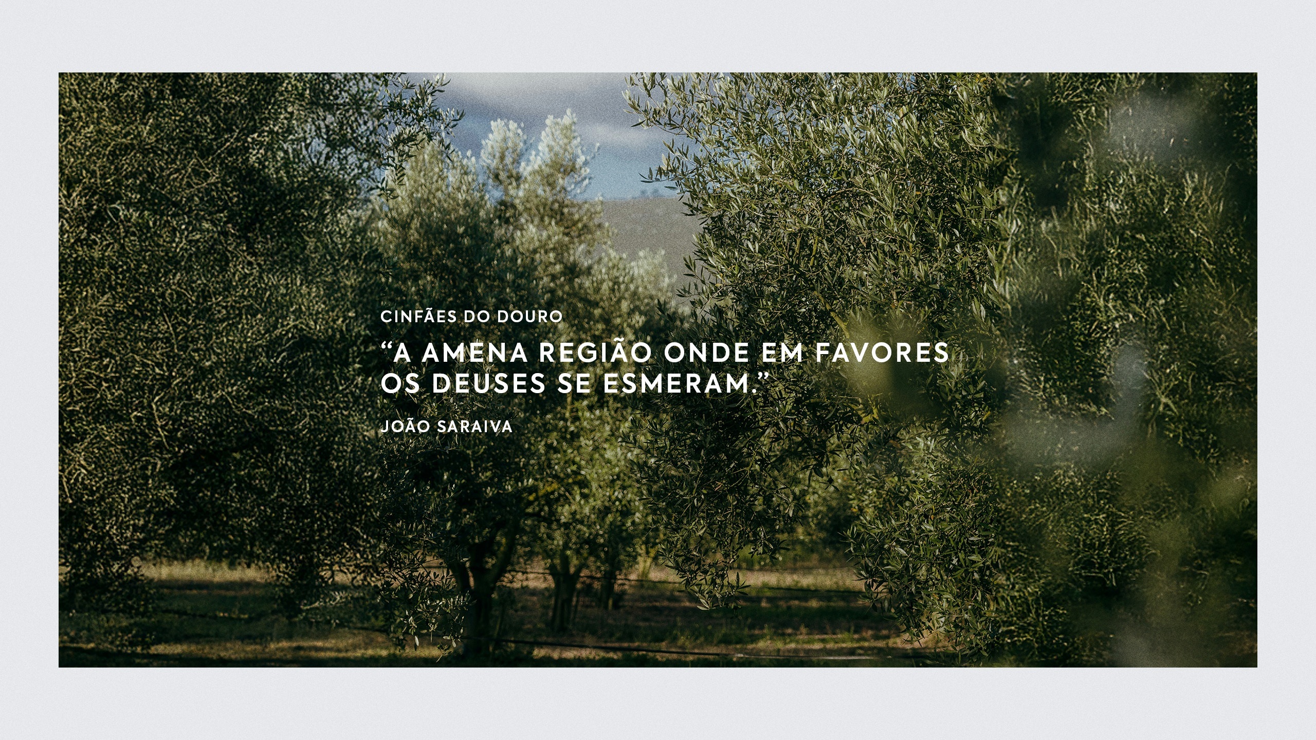 Raízes da Terra - imagem 1