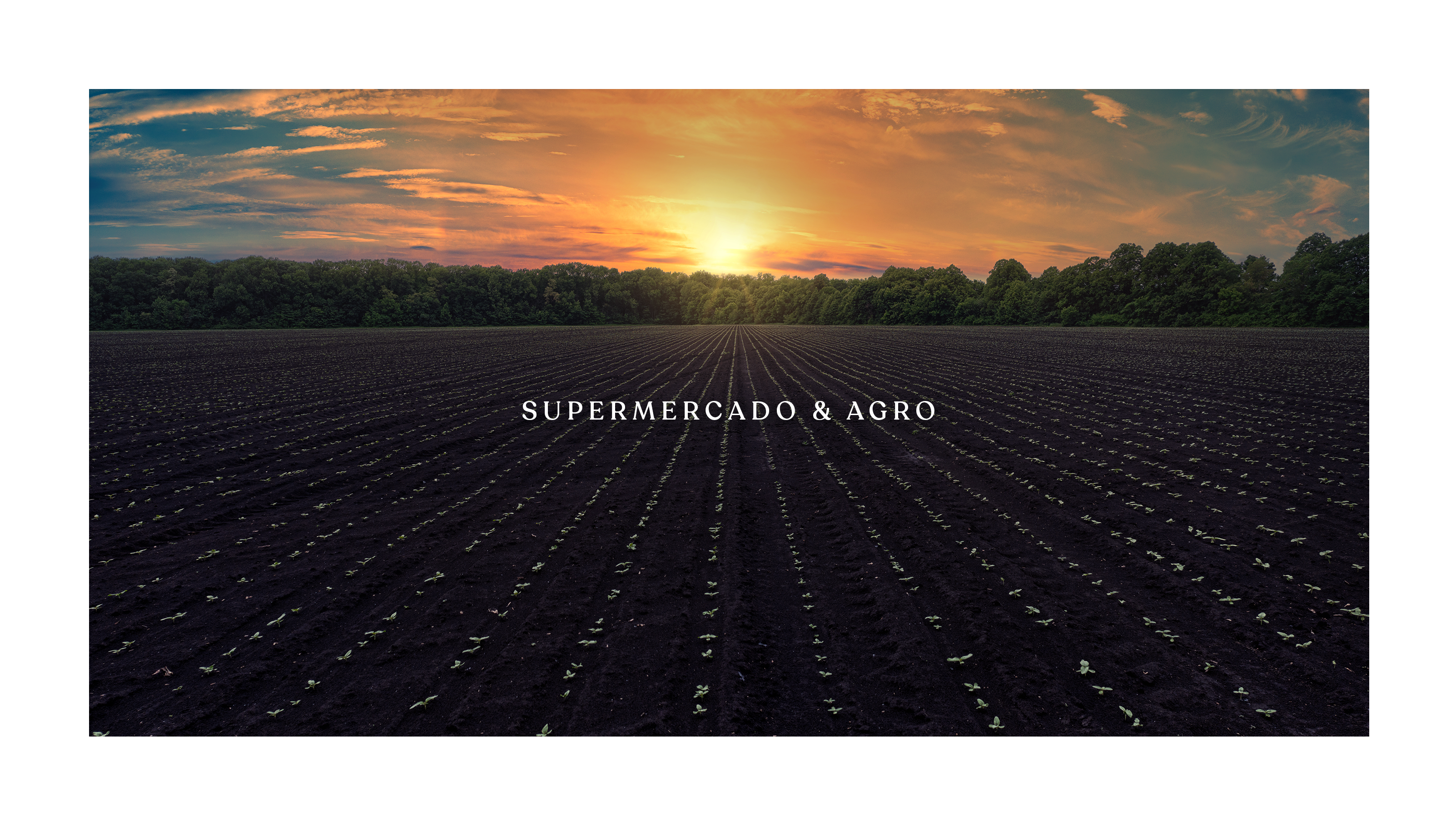 Vilas Boas Supermercado & Agro - imagem 2
